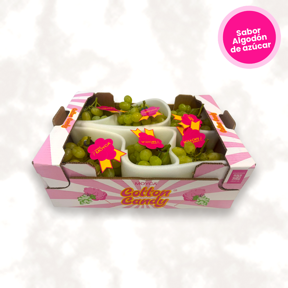 Uva Cotton Candy Moyca - sabor a algodón de azúcar sin semillas